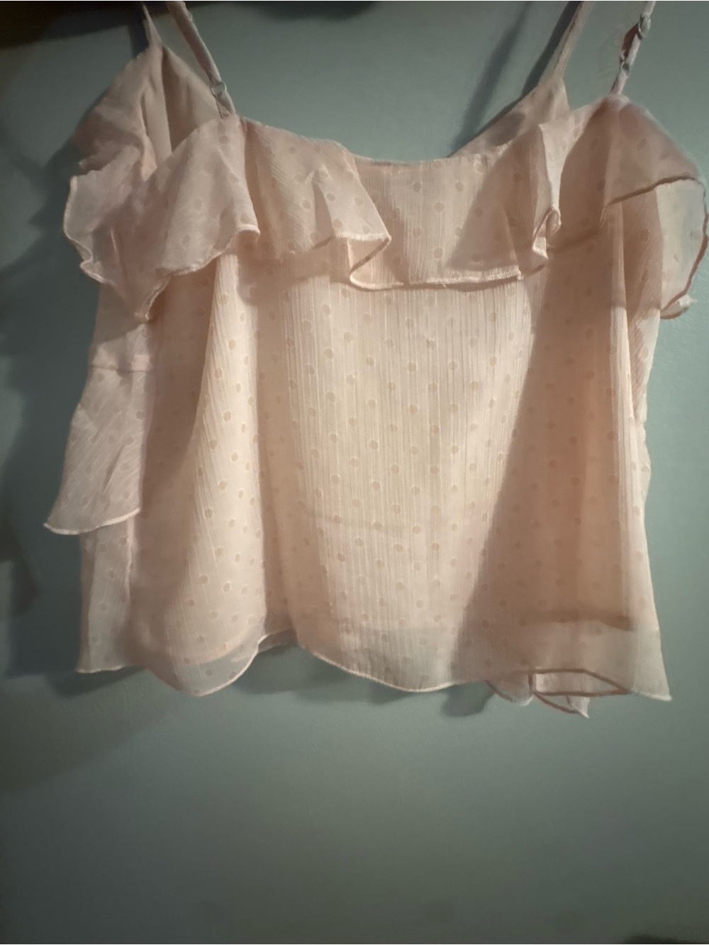 Delicate Blush Ruffle Button-Front Women's Top - Picture 2 of 2